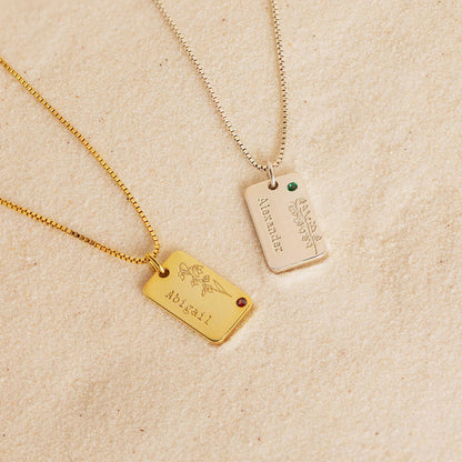 Nova - 1010
